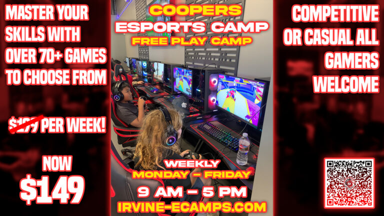 Free Play eSport Camp